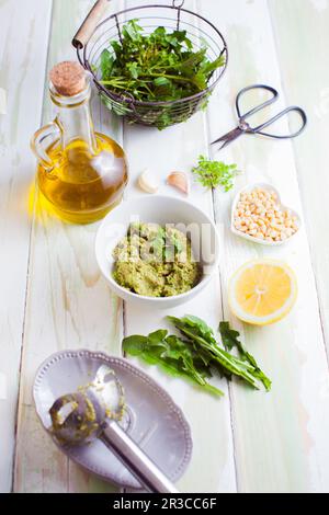 Ingredienti freschi di pesto di erbe selvatiche su tavola di legno Foto Stock