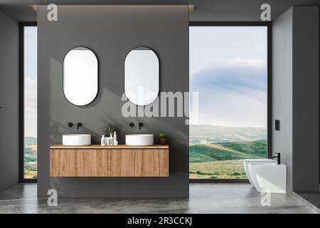 Moderno minimalista interno scuro bagno, armadio bagno, doppio lavabo, vanità in legno, piante interne, accessori per il bagno, vasca e wc, offerta Foto Stock