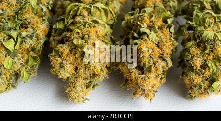 Macro primo piano di una Cannabis Medical Marijuana essiccata Foto Stock