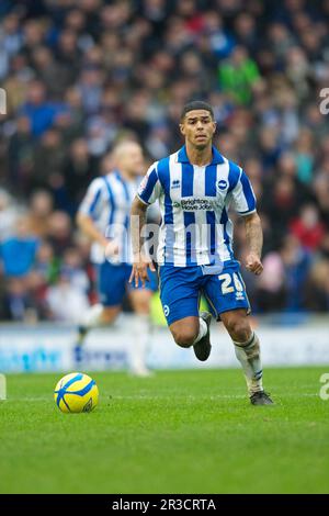 Liam Bridcutt di Brighton & Hove Albion durante la partita di fa Cup 3rd round tra Brighton & Hove Albion e Newcastle United all'American Express Foto Stock