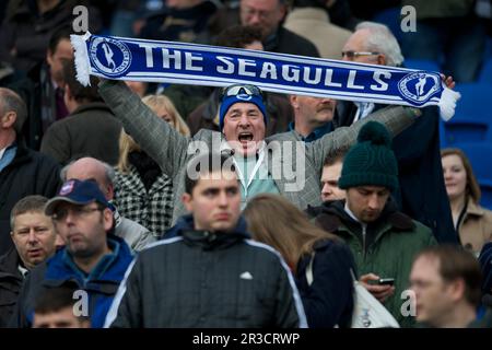 Un fan di Brighton & Hove Albion festeggia durante la partita di fa Cup 3rd tra Brighton & Hove Albion e Newcastle United all'American Express Foto Stock