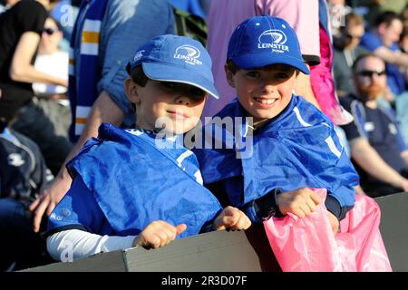 Giovani tifosi di Leinster durante la finale della Amlin Challenge Cup tra Leinster Rugby e Stade Francais all'RDS Arena, Dublino, venerdì 17th maggio 2013, C. Foto Stock