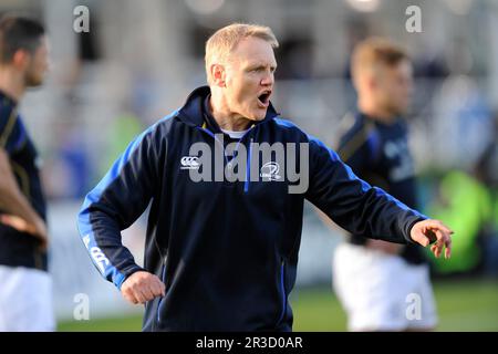 Joe Schmidt, Leinster Head Coach, prima della finale della Amlin Challenge Cup tra Leinster Rugby e Stade Francais alla RDS Arena, Dublino, venerdì 17 Foto Stock