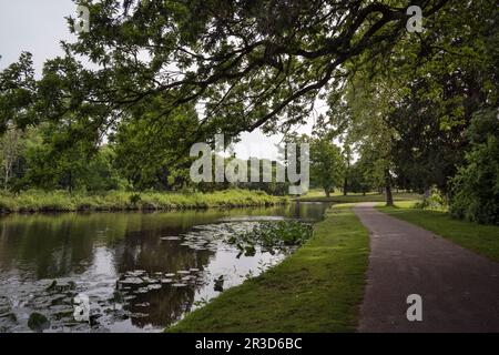 Passeggiata sul lago al Painshill Park Cobham Surrey UK Foto Stock