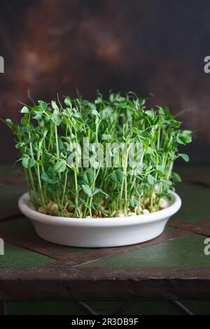 I piselli microgreens con i semi e le radici. Semi di piselli germogliati. Germogliare Micro verdi. Germinazione di seme nel paese. Vegano e sano Foto Stock