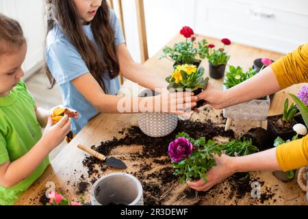 Hobby educativi, sviluppo della famiglia con i bambini Foto Stock