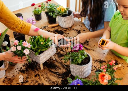 Hobby educativi, sviluppo della famiglia con i bambini Foto Stock