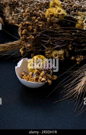 Decorazioni di Pasqua alla moda. Uova organiche spaccate con erba secca e fiori secchi sul piatto. Piuma d'uccello. Spazio di copia. Biglietto d'auguri Foto Stock