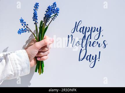 BUON GIORNO DELLE MADRI mani femminili che tengono i fiori blu del muscari. Regalo da bambino per la giornata delle madri. Piccolo bouquet muscari blu. Floris Foto Stock