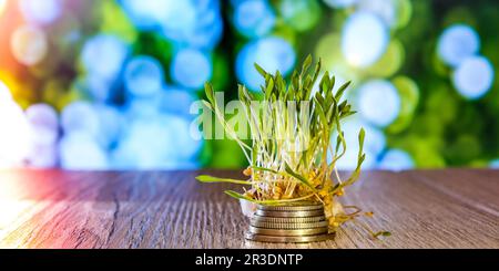 Grano germogliato su pila di monete natura sfondo. Radici, cibo, salute. Germogli verdi micro. Cibo biologico, vegano sano concep Foto Stock