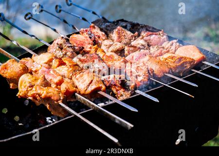 La carne viene fritta sui carboni. Campeggio, barbecue sulla griglia. Messa a fuoco selettiva. Carne fritta su barbecue al carbone Foto Stock