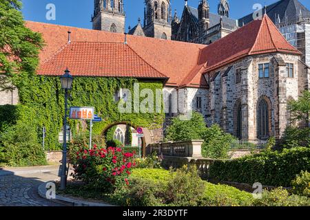 Città cattedrale Magdeburgo sull'Elba Sassonia Anhalt Foto Stock