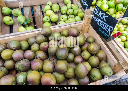 Una scatola nera di Worcester pere in vendita in un negozio di fattoria. Foto Stock