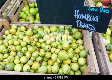 Una scatola di humbug pere in vendita in un negozio di fattoria. Foto Stock