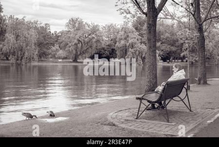 Bucarest, Romania - Maggio 2023: Vinatage immagine monocromatica con una donna solitaria anziana seduta su una panchina e guardando le anatre. Foto Stock