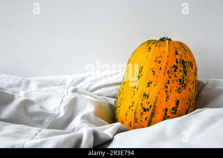 Zucca su fondo bianco vestiti. Vendemmia autunnale. Spazio di copia. Foto Stock
