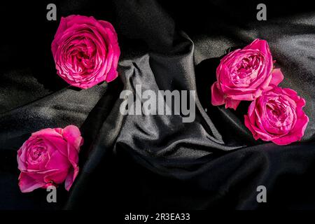 Fiori rosa con tessuto di seta nera. San Valentino o donna madre giorno sfondo disegno. Minimo giacitura natura. Foto Stock