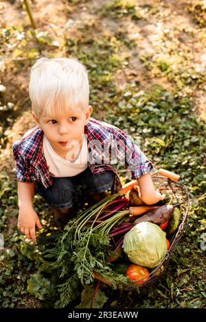 Il bambino esamina un cestino di verdure Foto Stock