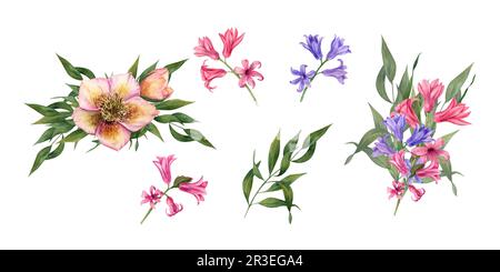 Set di giacinti blu e rosa acquerello, ellebori, eucalipto isolato su sfondo bianco. Illustrazione di fiori primaverili per la progettazione di saluti Foto Stock