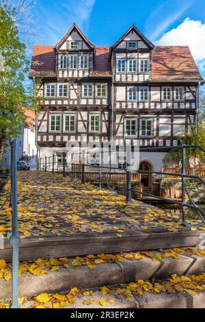 Impressioni fotografiche da Erfurt, capitale dello stato della Turingia Foto Stock