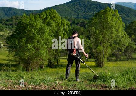 Uomo che usa il rifinitore a mano per tagliare l'erba in una giornata estiva illuminata dal sole in campagna Foto Stock