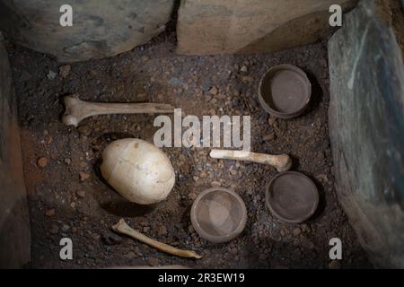 Resti umani di un cranio, ossa e strumenti utilizzati nelle miniere di Rio Tinto in epoca romana Foto Stock