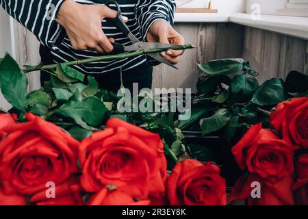 Fiorista che organizza un bouquet di rose rosa. Primo piano fiorista che lavora taglio rose gambo con potatura cesoia mentre fare compos Foto Stock