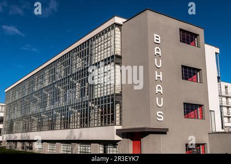 Bauhaus Dessau in Sassonia Anhalt Germania Foto Stock