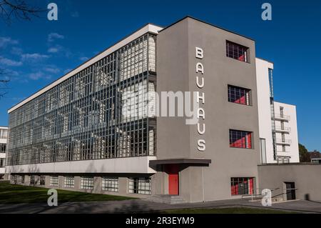 Bauhaus Dessau in Sassonia Anhalt Germania Foto Stock