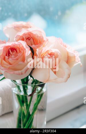 Rosa rosa rosa tenue in vaso sul davanzale. Composizione minima. Idea astratta dell'arte del bouquet di fiori. Romantico composto rosa pastello Foto Stock