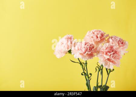 Bouquet di garofani rosa. Design concetto di saluto vacanza con bouquet garofano su sfondo giallo Foto Stock