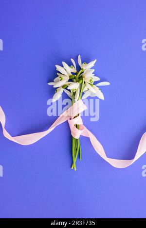 Bouquet di fiori di goccia di neve. Inizio primavera fiori. Sfondo delle vacanze. Biglietto di auguri. Foto Stock