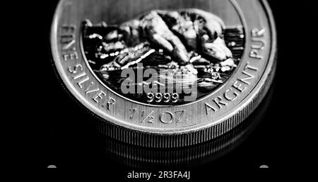 Primo piano di Silver Bullion Coin su uno sfondo a specchio nero Foto Stock