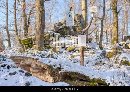 Piccolo mulino del diavolo nei pressi di Friedrichsbrunn sulle montagne Harz Foto Stock