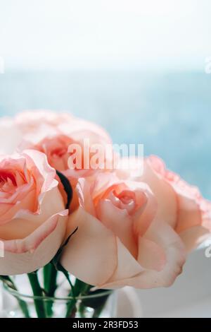 Rosa rosa rosa tenue in vaso sul davanzale. Composizione minima. Idea astratta dell'arte del bouquet di fiori. Romantico composto rosa pastello Foto Stock