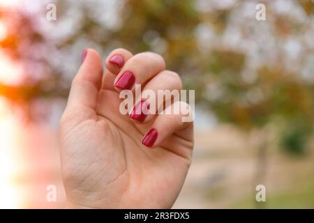 Unghie femminili rosse alla moda. Moderna bella manicure. Autunno inverno progettazione unghie concetto di trattamento di bellezza. Unghie in gel. Cura della pelle Foto Stock