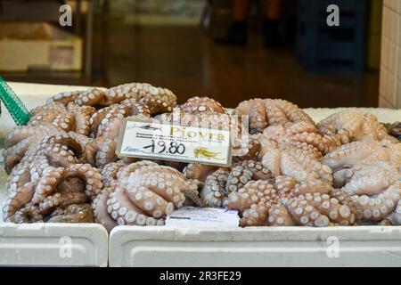 Primo piano di polpi in vendita al mercato ittico di Rialto nel sestiere di San Polo, Venezia, Veneto, Italia Foto Stock