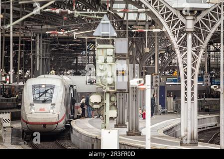 Immagine della piattaforma principale di Koln Hbf a Colonia, Germania con un treno ad alta velocità ICE 4 pronto per la partenza. Köln Hauptbahnhof o Cologne Central Foto Stock