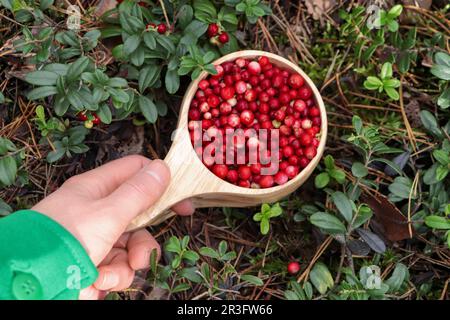 Donna che tiene in mano una tazza di legno con gustosi lamponi all'aperto, vista dall'alto Foto Stock