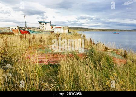 barca varada, Puerto Natales, Regione Magallanes , Antartide cilena, Patagonia, Repubblica del Cile, Sud America. Foto Stock