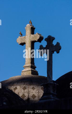 Cementerio de la Recoleta , diseñado por el francés prosperare Catelin, por iniciativa del presidente Bernardino Rivadavia, inaugurado en 1822.Buenos Aires, Republica Argentina, cono sur, Sud America. Foto Stock