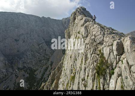 Morro d'en Pelut, 1319 metro. Escorca.Sierra de Tramuntana.Mallorca.Islas Baleares. España. Foto Stock