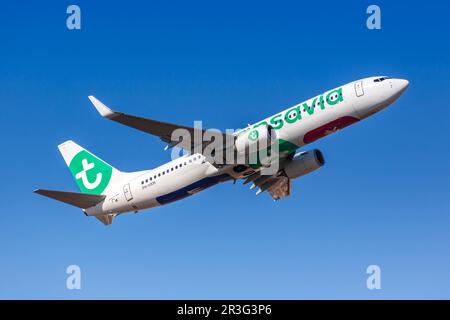 Transavia Boeing 737-800 aereo aeroporto di Lisbona in Portogallo Foto Stock