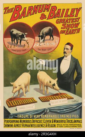 Poster di circo vintage di un allenatore e dei suoi maiali che giocano xilofoni, campane e fanno trucchi di carte. Foto Stock