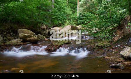 Il fiume Ilse a Ilsenburg ai piedi del Brocken nel Parco Nazionale di Harz in Germania Foto Stock