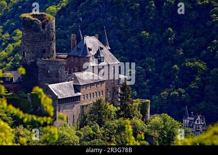 Valle del Reno con il castello di Katz, Patersberg, patrimonio mondiale dell'UNESCO, alta valle del Reno medio, Germania Foto Stock