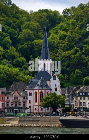 Chiesa evangelica Collegiata di San Goar, alta valle del Reno medio, Renania-Palatinato, Germania Foto Stock