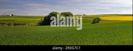 Paesaggio culturale nel distretto Rhein-Lahn, Renania-Palatinato, Germania, Europa Foto Stock