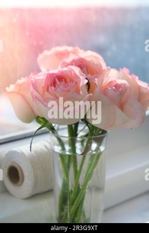 Rosa rosa rosa tenue in vaso sul davanzale. Composizione minima. Idea astratta dell'arte del bouquet di fiori. Romantico composto rosa pastello Foto Stock