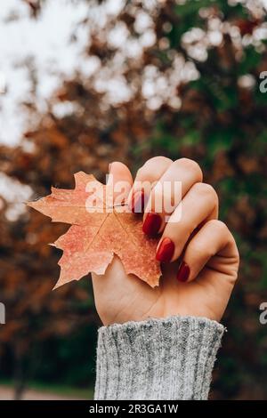 Unghie femminili rosse alla moda. Caduta foglia nelle mani. Moderna bella manicure. Concetto autunnale di progettazione unghie di trattamento di bellezza. Gel nai Foto Stock